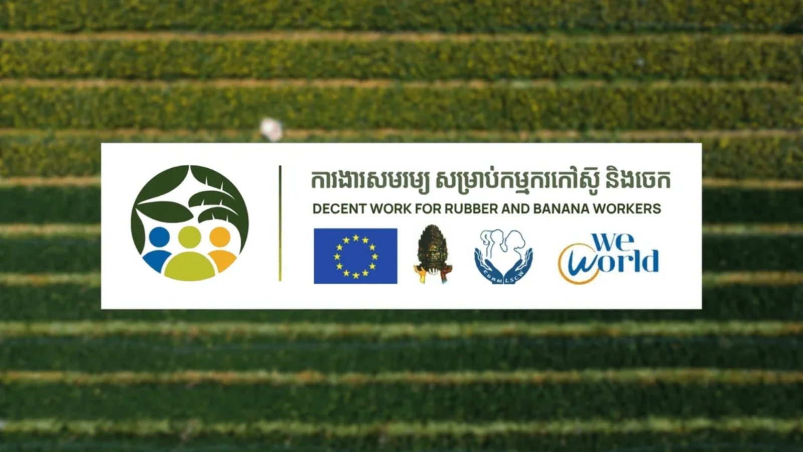 Promoting Decent Work Conditions for Plantation Workers in Cambodia