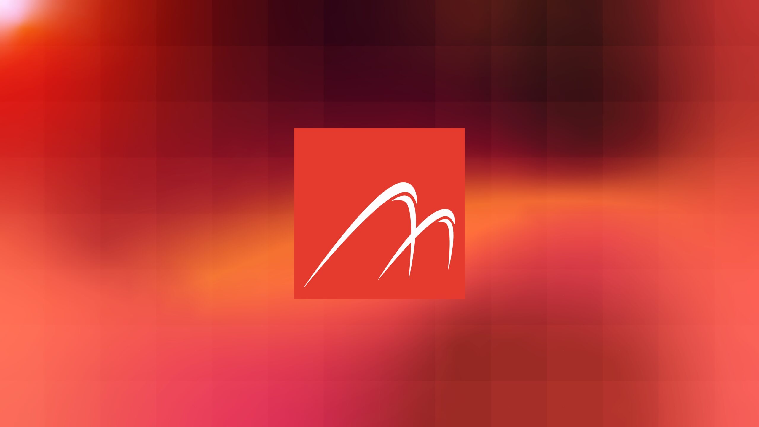 Mangrove Studio team Future of Remote Marketing