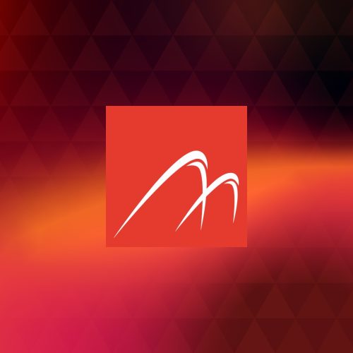 Mangrove Studio Marketing Agency Mangrove Studio Marketing Agency